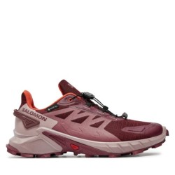 Laufschuhe Salomon Supercross 4 Gore-Tex L47594500 Violett