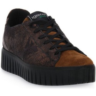 IgI&CO  Schuhe BRONZO ARES