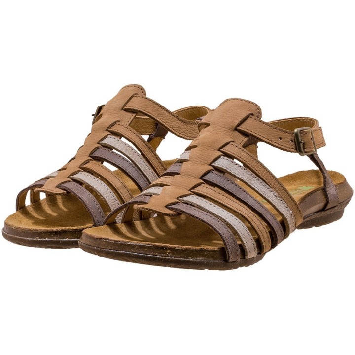 El Naturalista braun 37