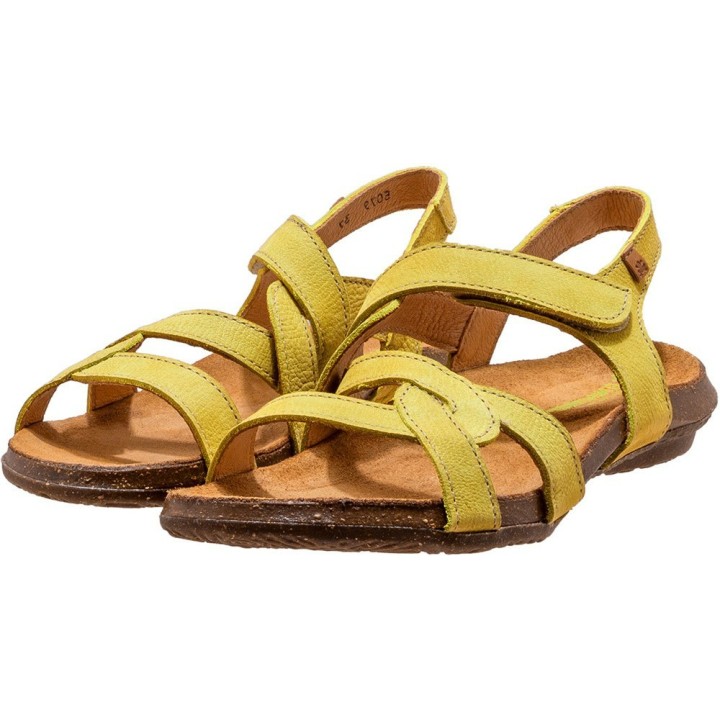 El Naturalista grün 38