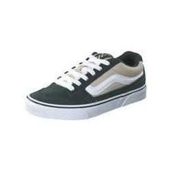 Vans MN Caldrone Skate Sneaker Herren grün|grün|grün