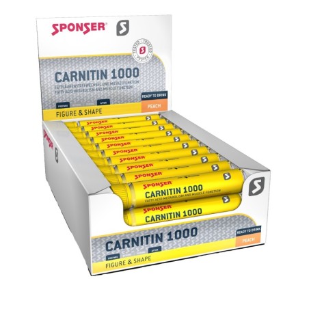 Carnitin 1000 - Pfirsich (30 x 25ml)