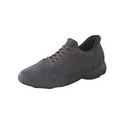 Geox Sneaker Herren grün|grün