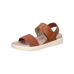 Westland by Josef Seibel Albi 07 Damen braun|braun|braun