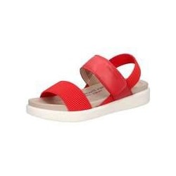 Westland by Josef Seibel Albi 07 Damen rot|rot|rot
