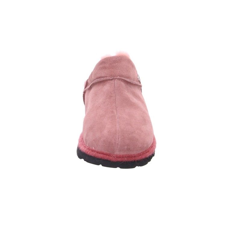 Rohde rose 36