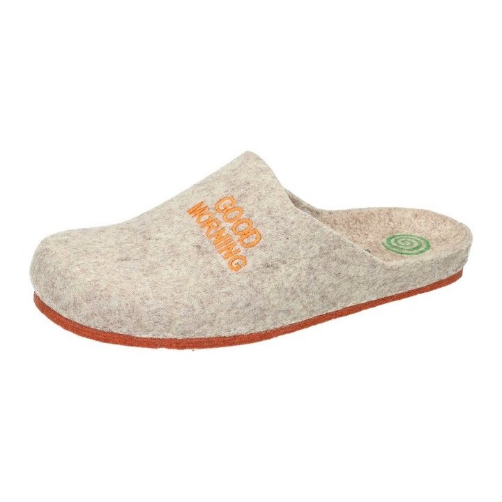 Dr. Brinkmann Hausschuhe Hausschuh aus Wollfilz