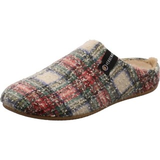 VERBENAS York Escoces Jaspe Hausschuh