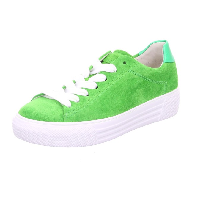 46.460 FS2024 - 237-50-0015 5