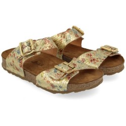 Haflinger Haflinger Bio Andrea Hausschuh