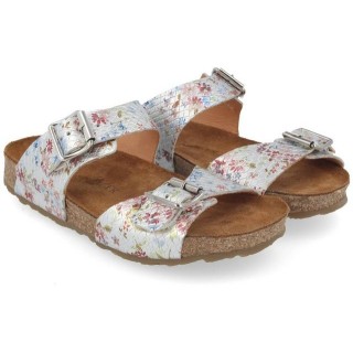 Haflinger Haflinger Bio Andrea Hausschuh