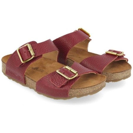Haflinger Haflinger Bio Andrea Hausschuh