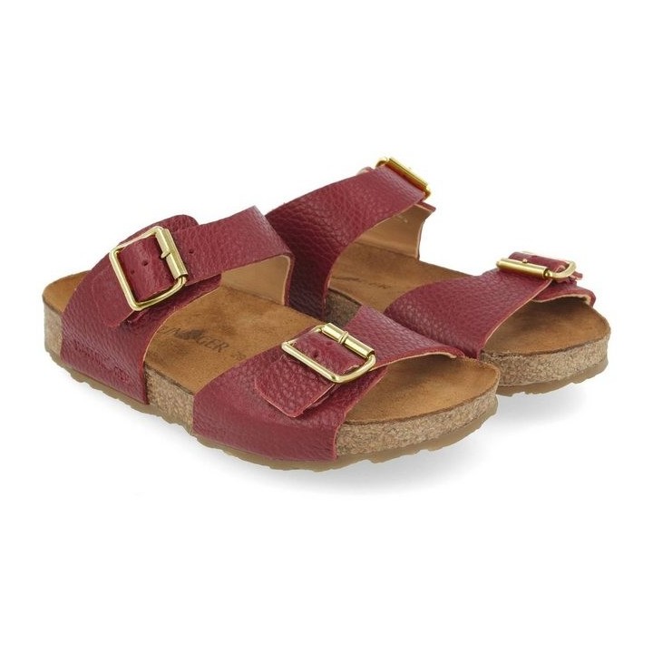 Haflinger Haflinger Bio Andrea Hausschuh