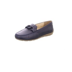 Ara blau 4
