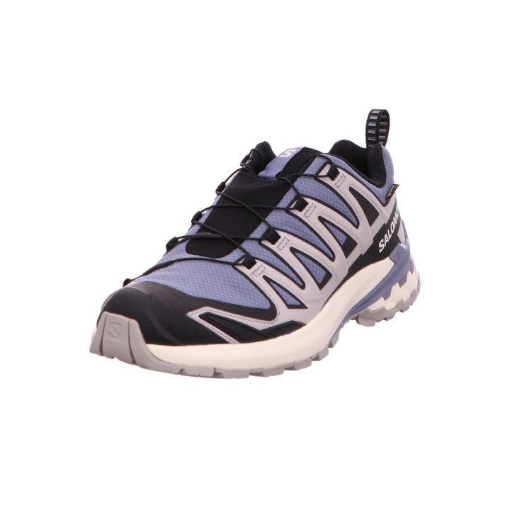 Salomon XA Pro 3D V9 GTX hell_blau 10