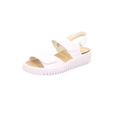 - H-Willow - 295-10-3109 4