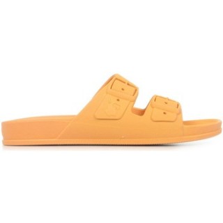 Cacatoès  Sandalen Belo Horizonte