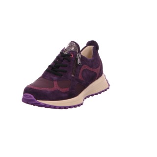 Waldläufer ORDER AURIGA DOLMIAS ORD. violett 4,5