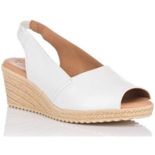 Kaola  Pumps 633 GOBY