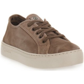 Natural World  Sneaker BEIGE ENZ