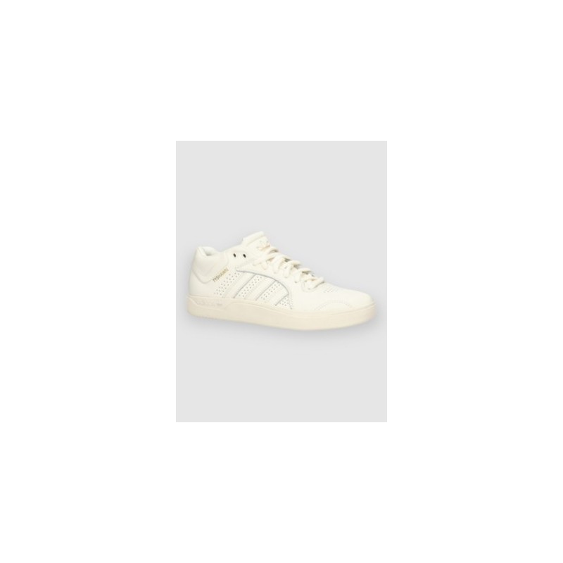 adidas Skateboarding Tyshawn Skateschuhe blubir