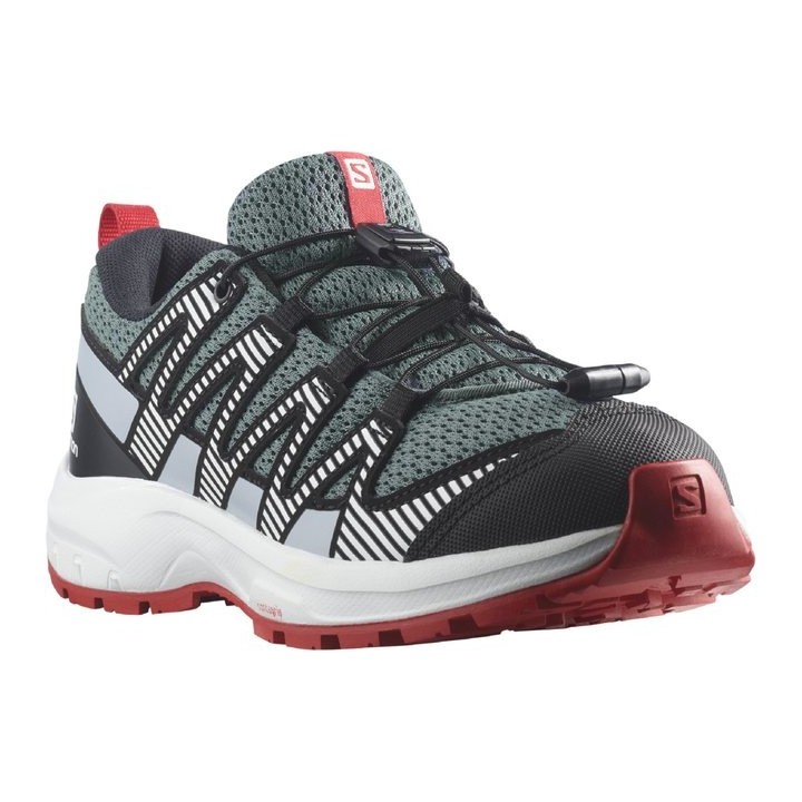 Salomon XA PRO V8 Trailrunningschuh
