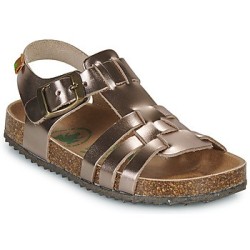 El Naturalista  Sandalen Incognito