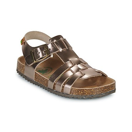 El Naturalista  Sandalen Incognito