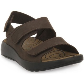 IgI&CO  Sandalen PALMER MORO