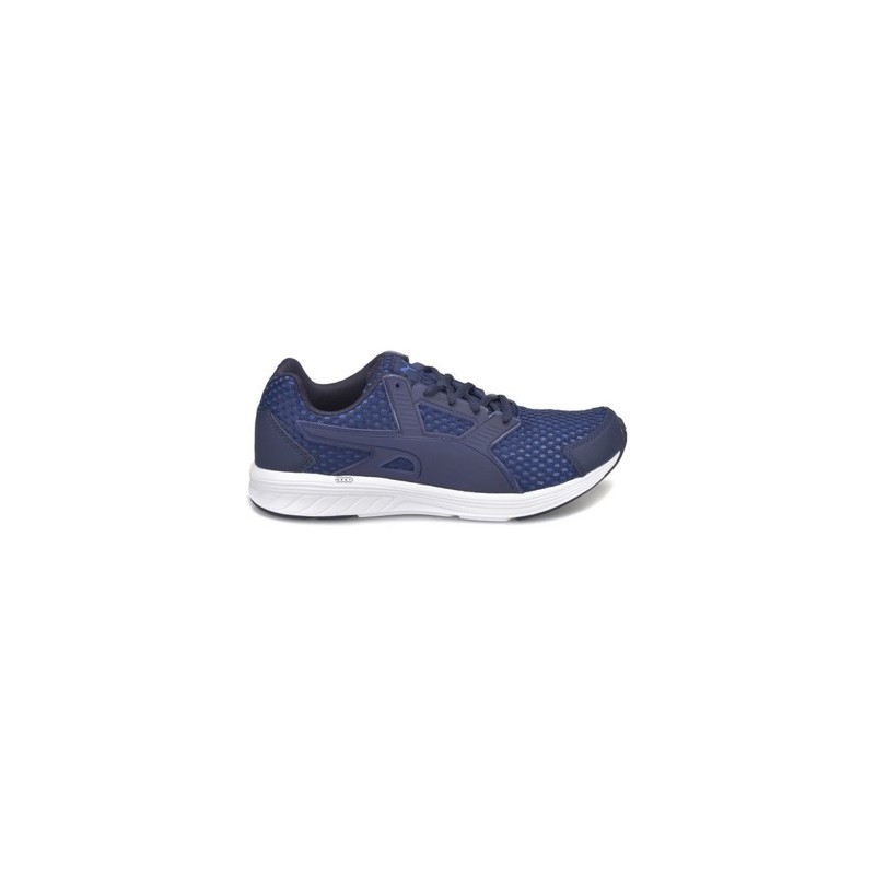 Puma  Herrenschuhe 190558