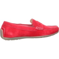 Sioux fuchsia 4