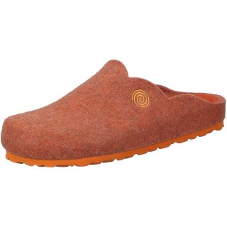 Dr. Brinkmann Hausschuhe Hausschuh aus Filz