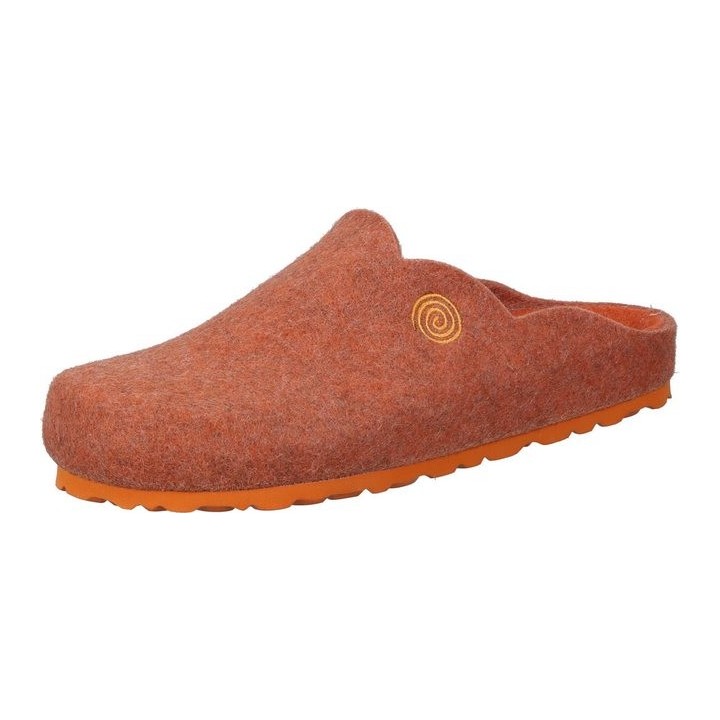 Dr. Brinkmann Hausschuhe Hausschuh aus Filz