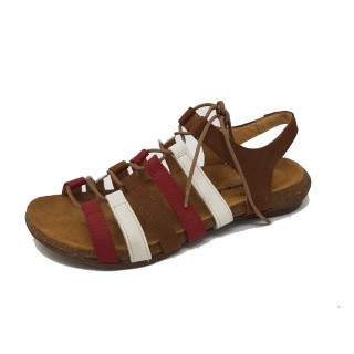 El Naturalista braun 37