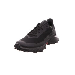 Salomon schwarz 12