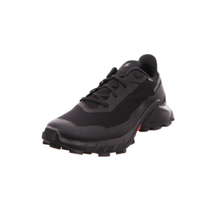 Salomon schwarz 12