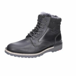 Lloyd schwarz 7,5