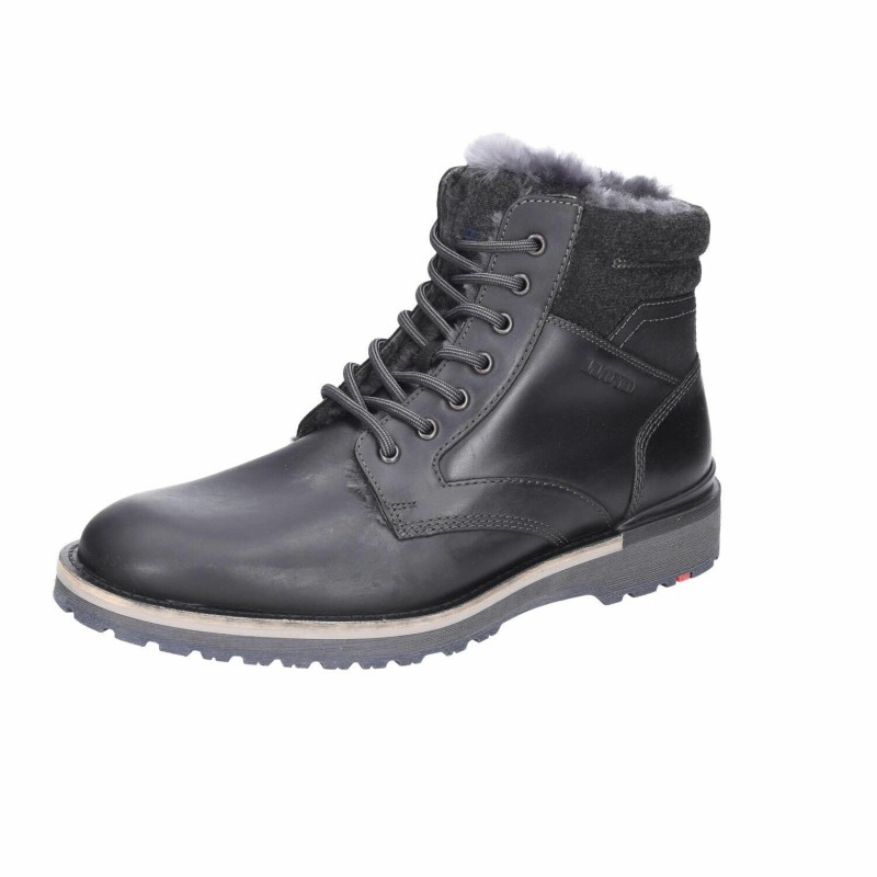 Lloyd schwarz 7,5