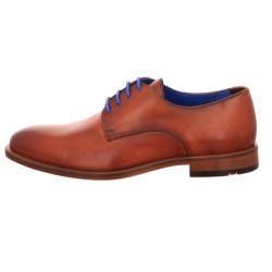 Lloyd braun 7,5