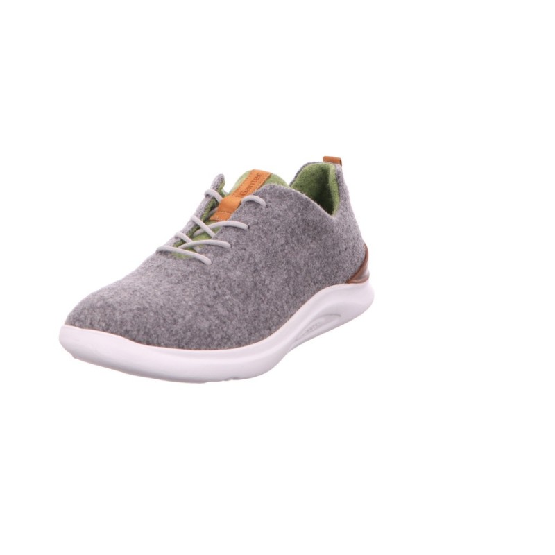 Ganter grau 5