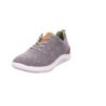 Ganter grau 5