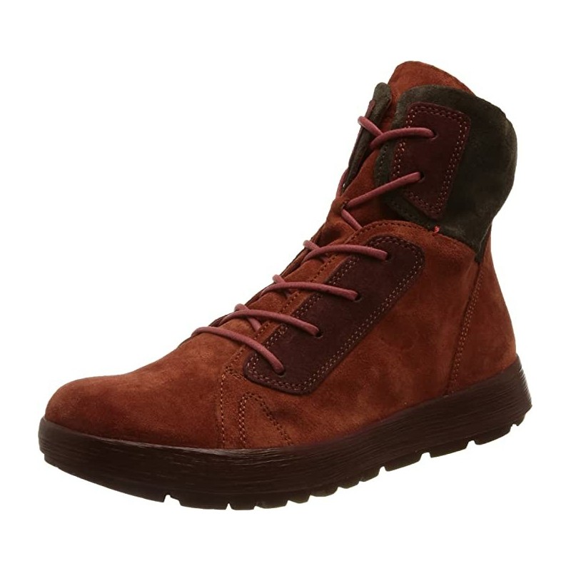 Think rot 36,5
