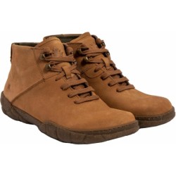 El Naturalista braun 43