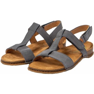 El Naturalista blau 40