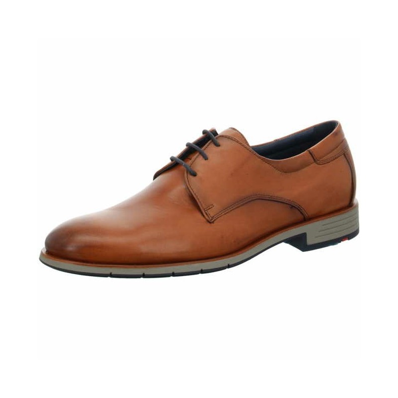 Lloyd braun 7,5
