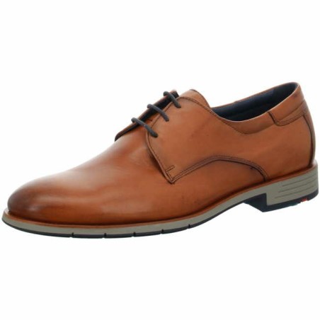 Lloyd braun 7,5