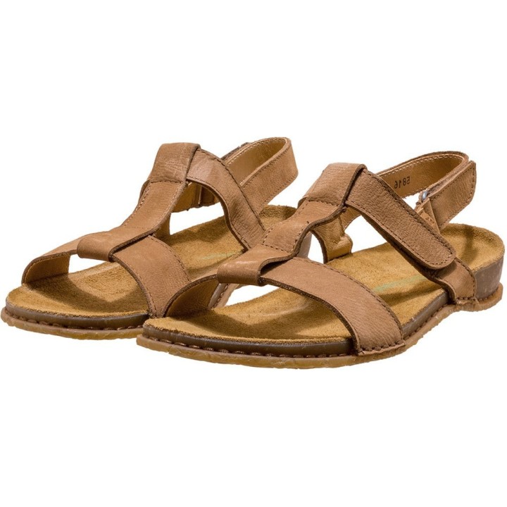 El Naturalista braun 39