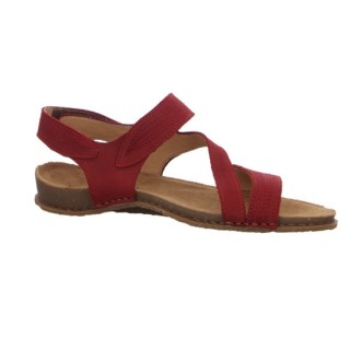 El Naturalista Panglao rot rot 39