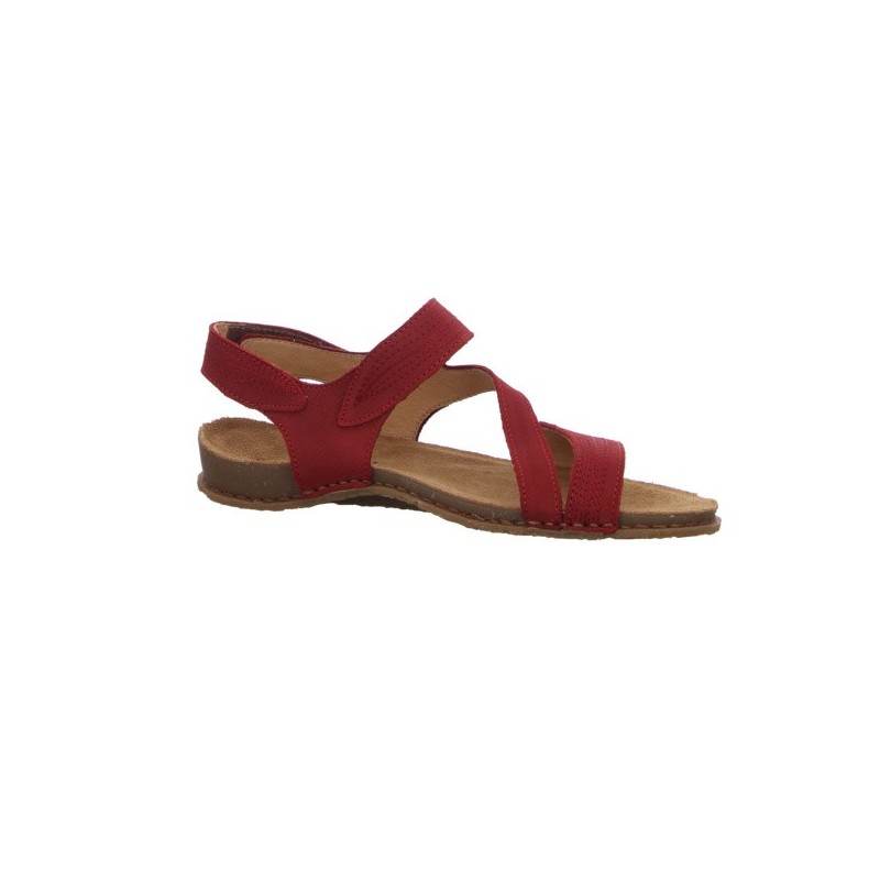 El Naturalista Panglao rot rot 39