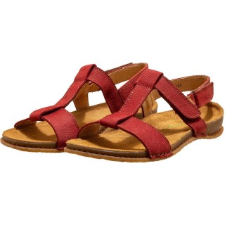 El Naturalista rot 41